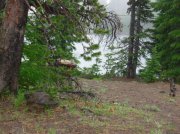 Summer '06 Sunriver 564 